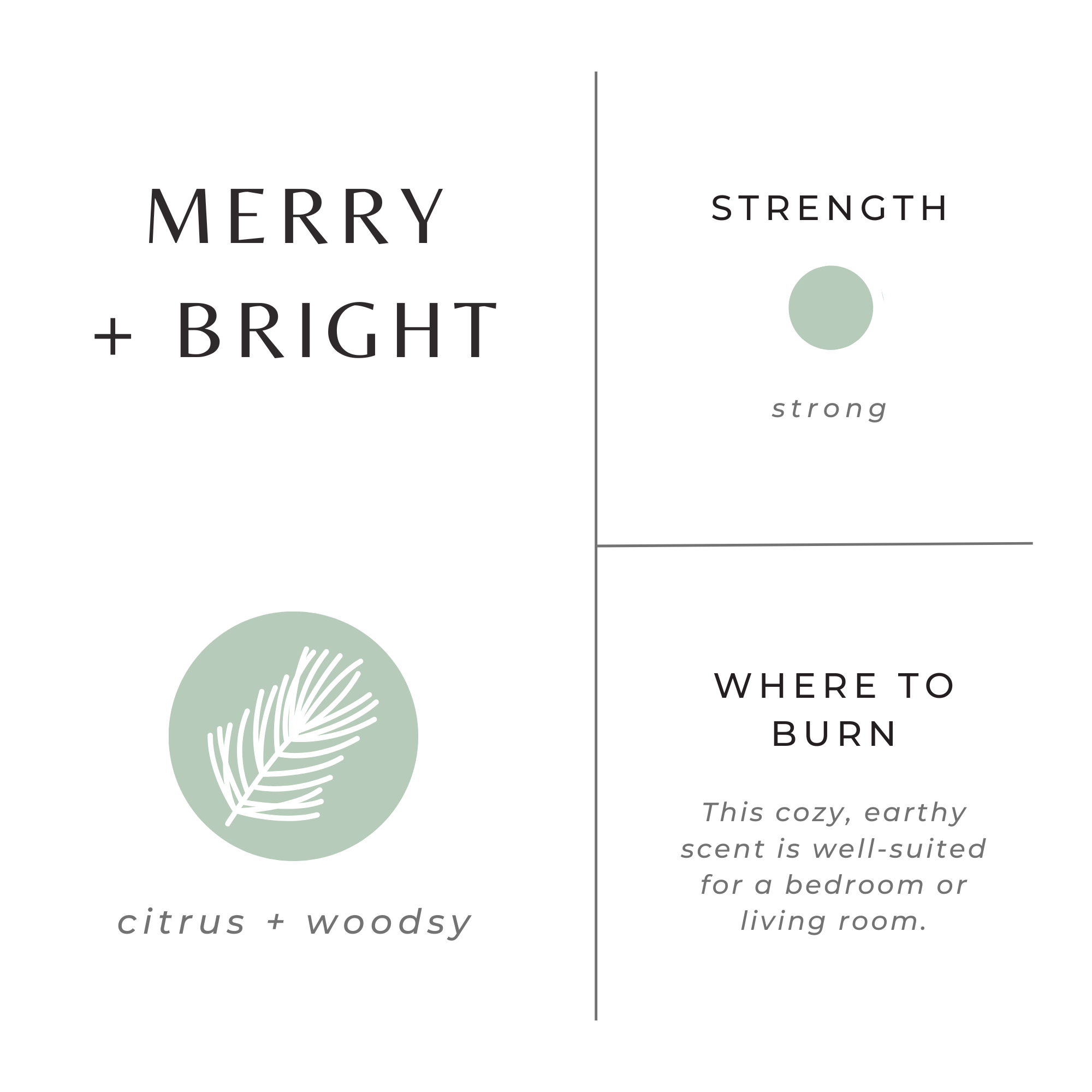 Merry + Bright - Fir, Clementine & Clove - Holiday 2025
