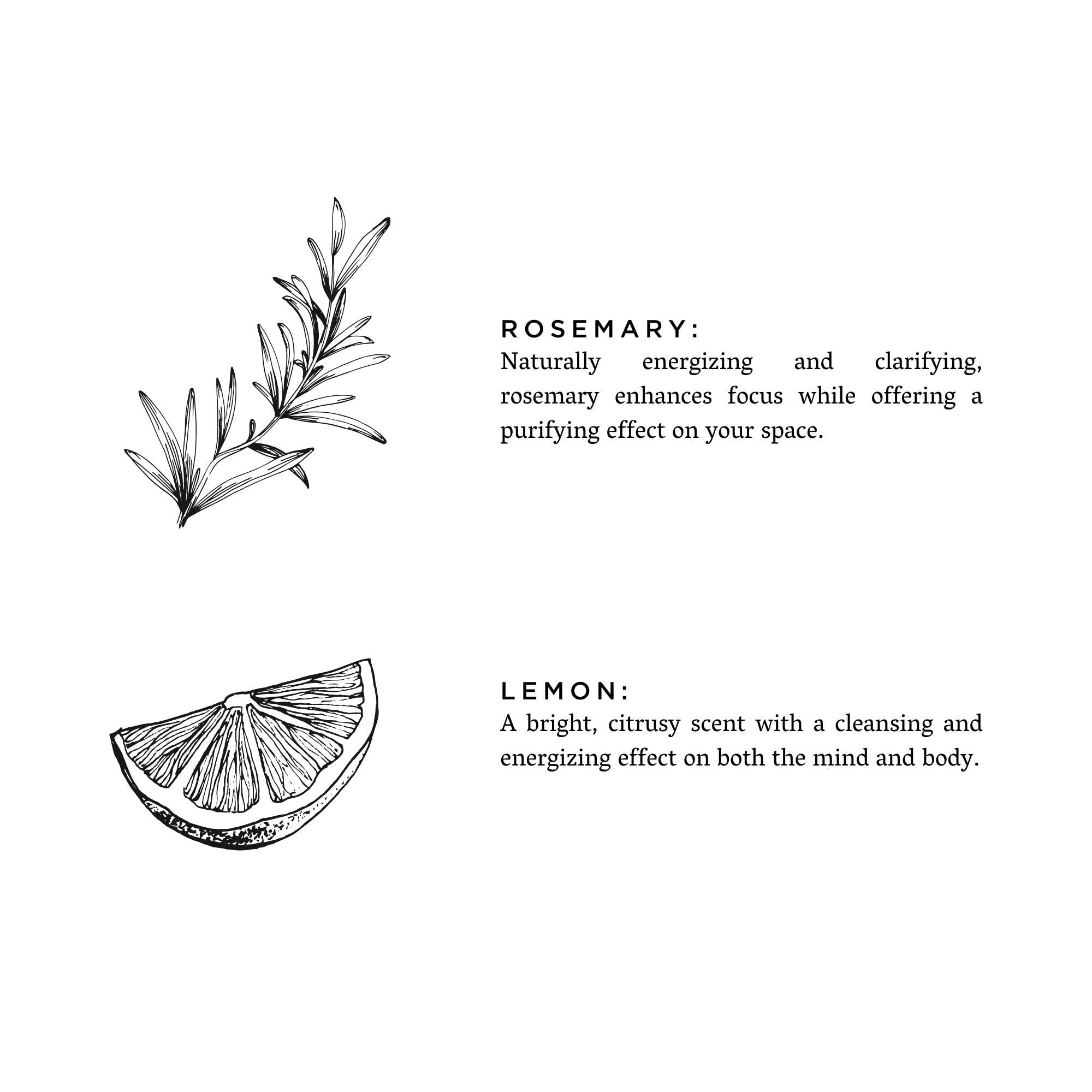 Travel Tin Candles | Rosemary + Lemon (6 Oz)