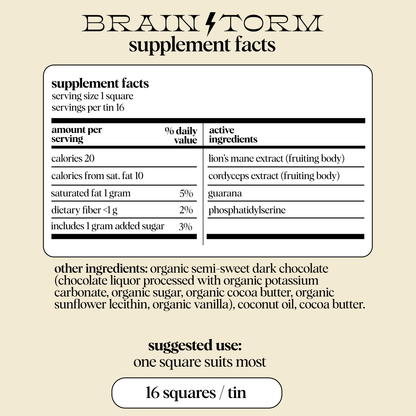 Brainstorm — mushroom chocolates for focus