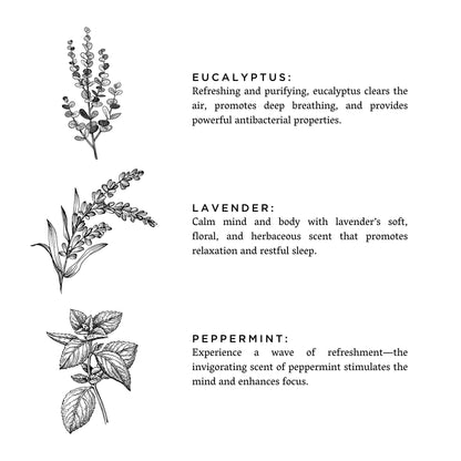 Of The Sea - 3-Wick Non-Toxic Soy Candle, Essential Oils, Holiday Favorite