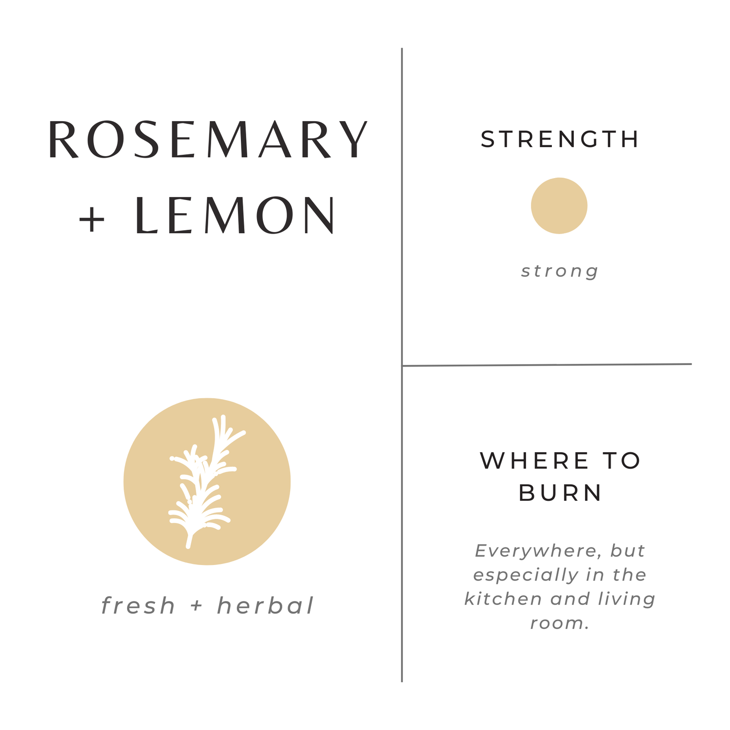 Travel Tin Candles | Rosemary + Lemon (6 Oz)