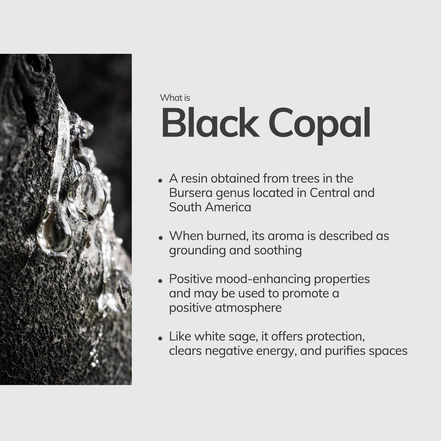 Black Copal Hand-Rolled Incense Stick