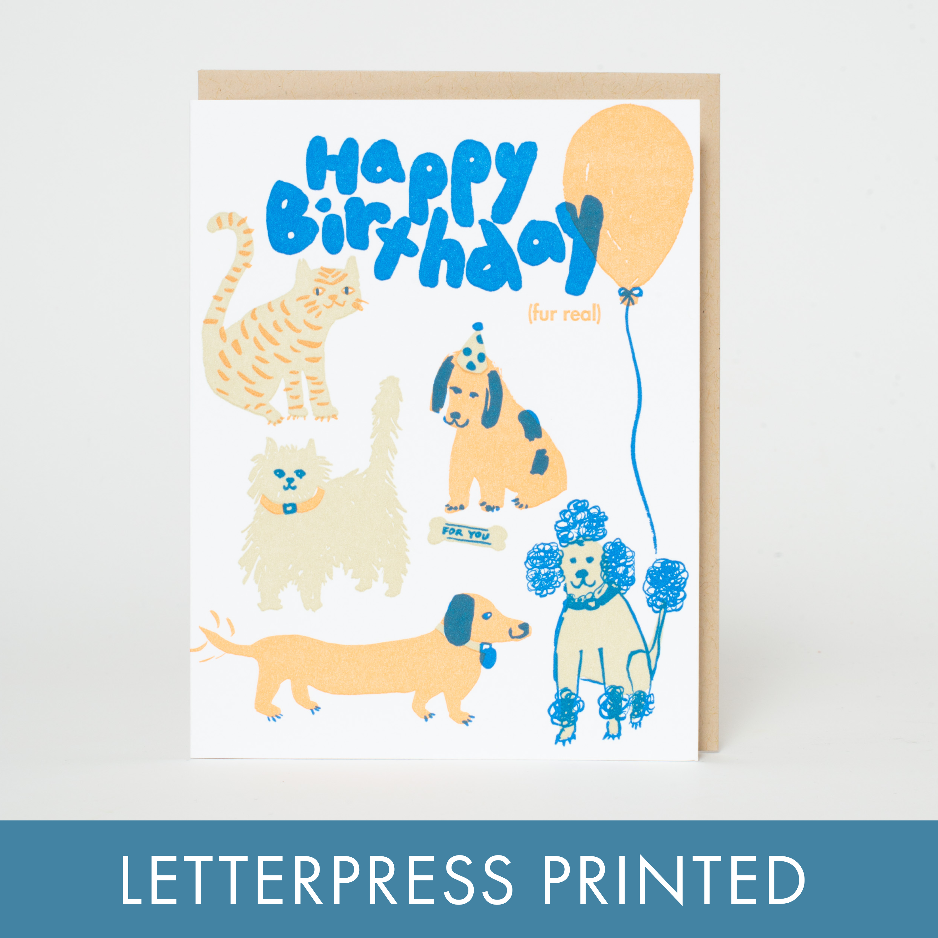 Birthday Dog &amp; Cat Party Letterpress Greeting Card by Egg Press