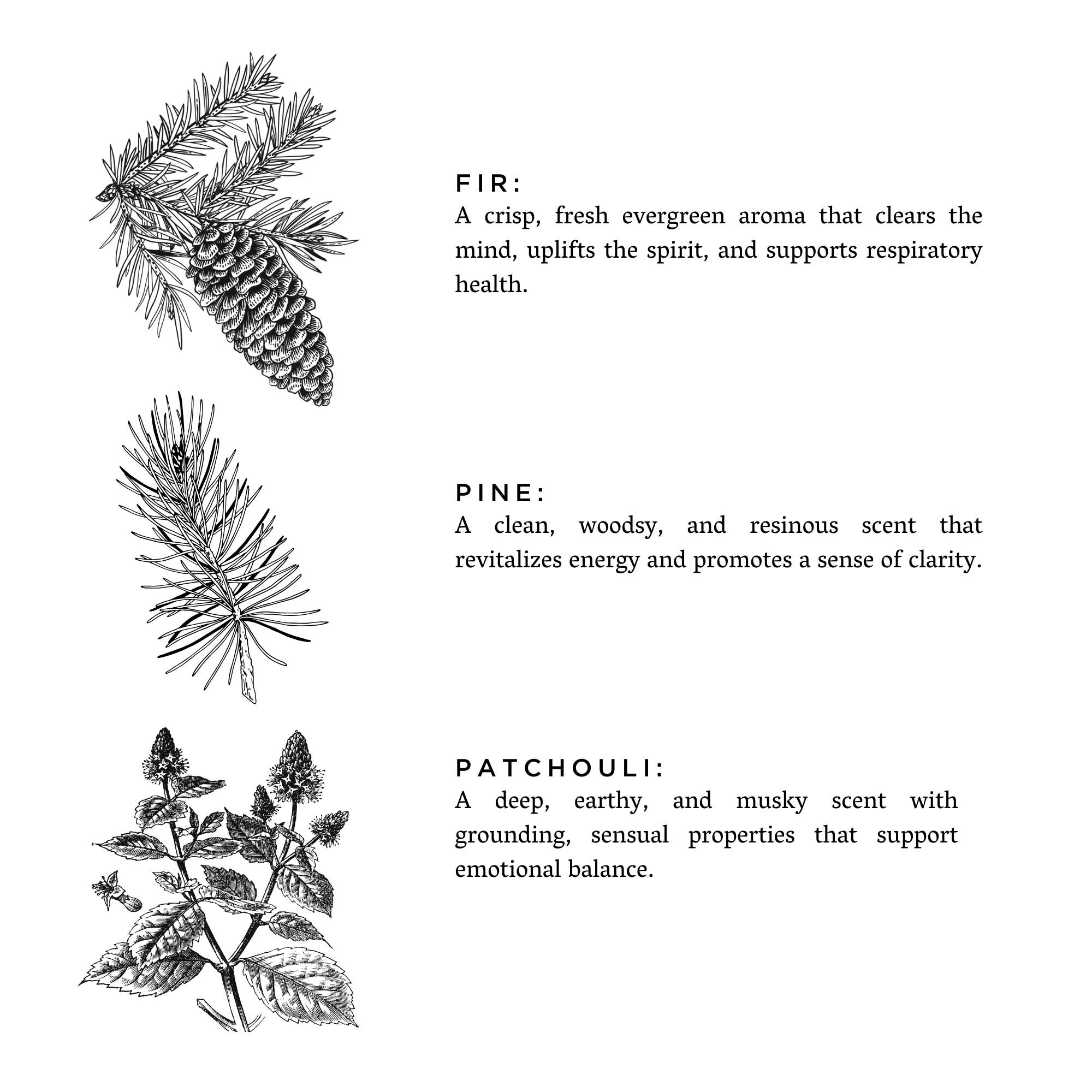 Forest Bathing Travel Tin Candle