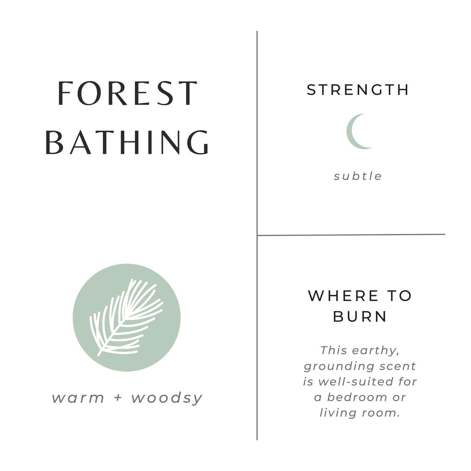 Forest Bathing Travel Tin Candle